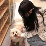 起猛了 看见机器人组团跳《茉莉花》